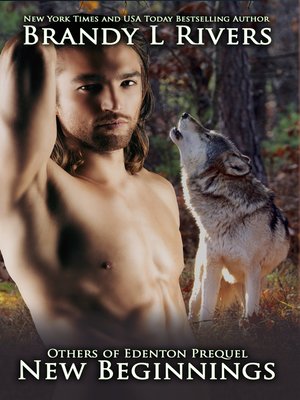 cover image of New Beginnings
